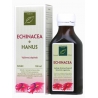 Echinacea (liehový extrakt)  100ml